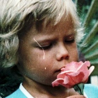 A child smelling pink roses outdoors.