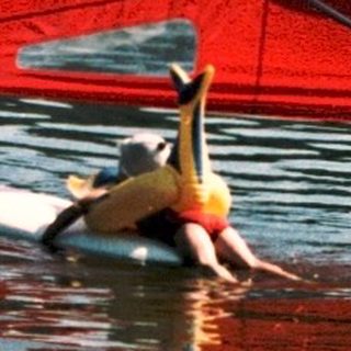 People windsurfing and paddleboarding on calm lake.