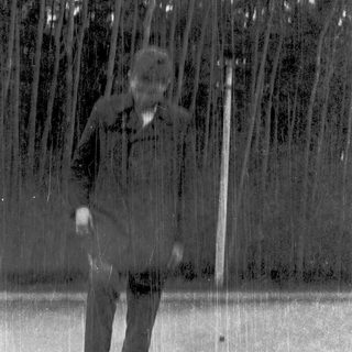 Person standing under vertical waterfall in forest.