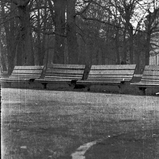 Empty park benches in a quiet, wooded area.