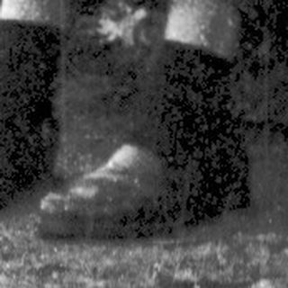 Two people reading books on a park bench.