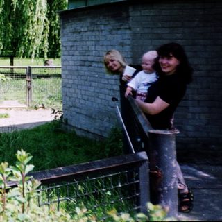 Lush garden with weeping willow, pink flamingos, and people relaxing.