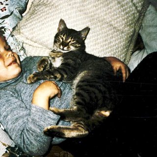 Child hugging a gray tabby cat indoors.