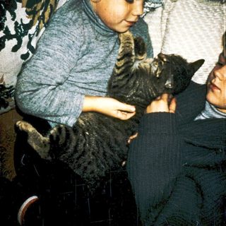 A child and cat sharing a cozy indoor moment.