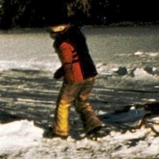 People shoveling snow with dog running nearby.
