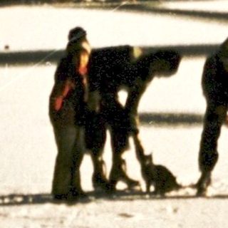 People ice fishing on frozen lake.