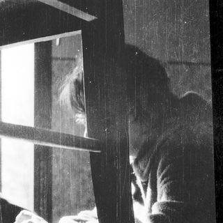 A cat gazes intently through a window.