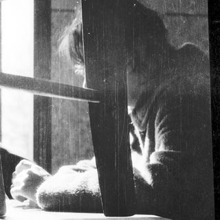 A cat gazes intently through a window.