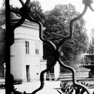 Elegant garden view through ornate wrought-iron fence.
