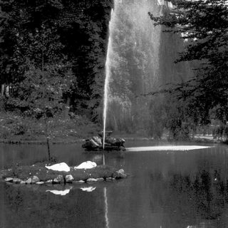 Tall waterfall cascading into calm pool.