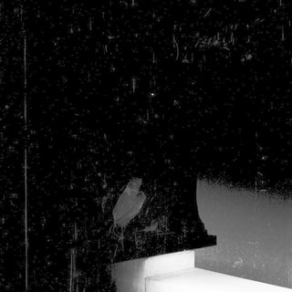 Dark room with illuminated modern bathtub.