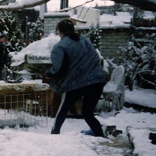 Snowy backyard with snowman, shoveling, and winter damage.
