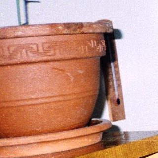 Person holding baked dish in kitchen.