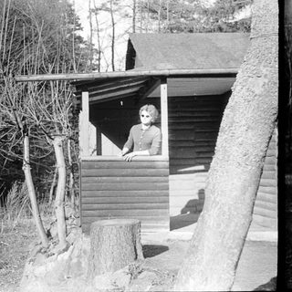 Small wooden guard tower with person inside.
