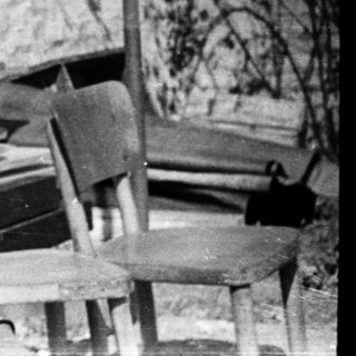 Happy elderly couple sitting together outdoors.