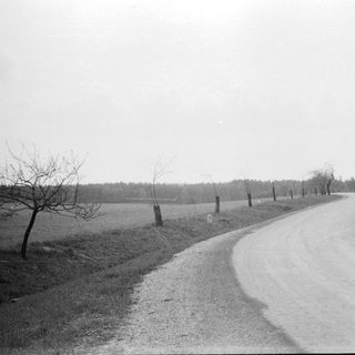 Rural road through open countryside with leafless trees.