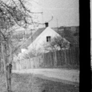 Rural roadside scene with bare trees and distant village.