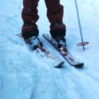 Two people cross-country skiing in snowy forest.