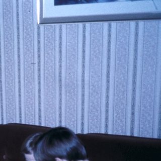Family gathering reading books indoors.