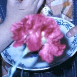 Two boys eating cake with flowers on table.