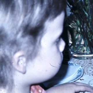 Child blowing out birthday cake candles.
