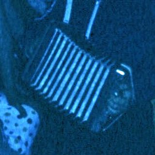 Group playing accordion in dimly lit indoor setting.