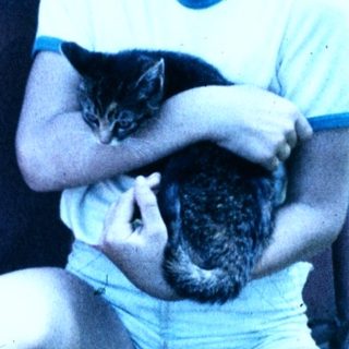 Boy holding two small cats outdoors.