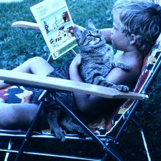 Child reading book with cat on outdoor chair.