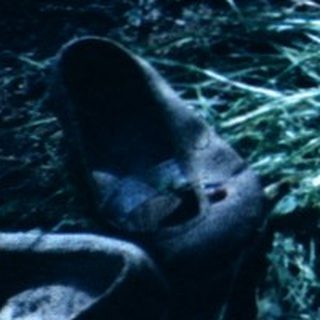 Child resting on blanket in natural setting.