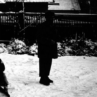 Children sledding in snowy backyard with adult supervision.
