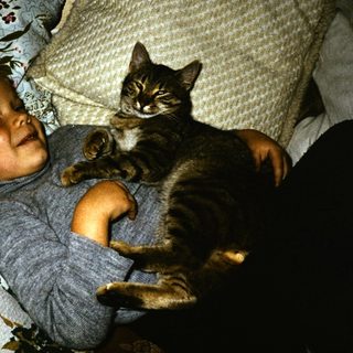 Toddler smiling while holding a gray cat.