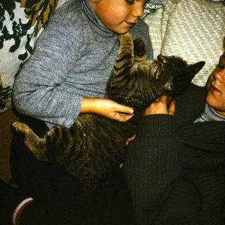 Two children and a cat resting together.