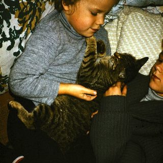 Two children and a cat resting together.