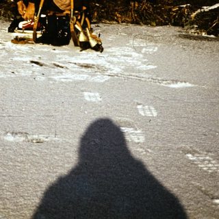 Two people in winter gear near fallen trees.