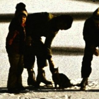 People ice skating on a frozen lake.