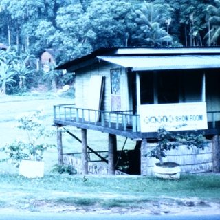 Rural tropical village with stilt houses and lush greenery.