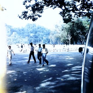 People walking outdoors in a park area.