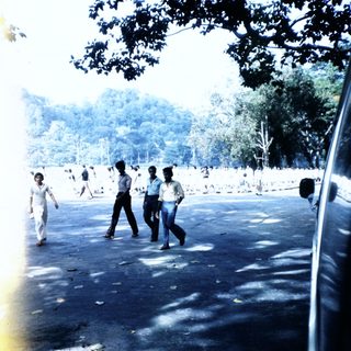 People walking outdoors in a park area.