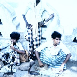 Three men sitting on ground sorting grains.