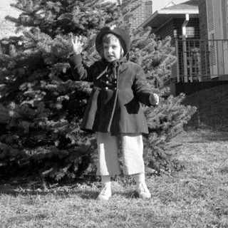 Child in winter coat standing by an evergreen tree.