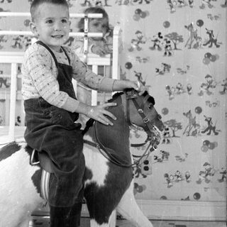 Boy on toy horse in patterned room.
