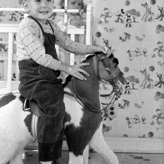 Boy on toy horse in patterned room.