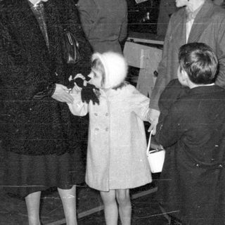 Group of people in formal coats at night.