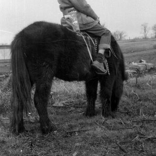 Child riding horse in rural field