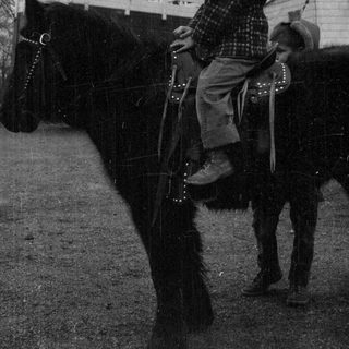 Winter horseback riding near a house