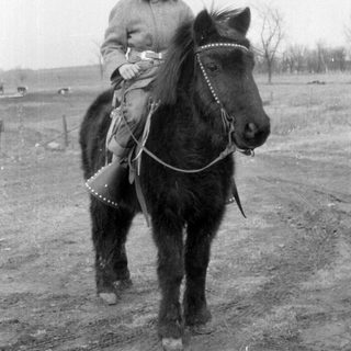 Child riding horse in rural setting