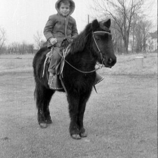 Child riding pony on paved road