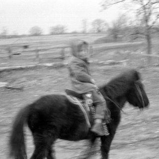 Rider on galloping horse, motion blur