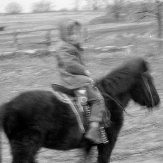 Rider on galloping horse, motion blur