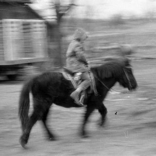 Motion-blurred equestrian street scene
